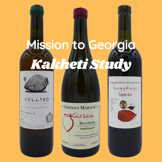 ジョージア・カヘティを知る セット MISSION TO GEORGIA: KAKHETI STUDY