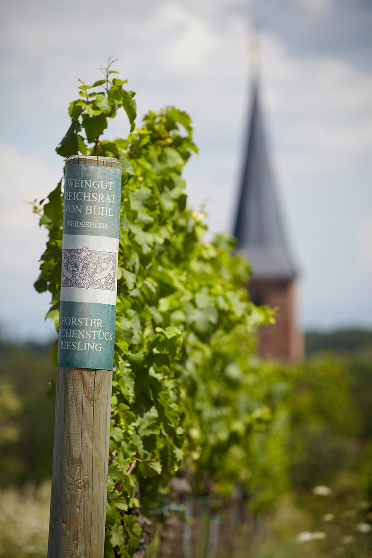 ワイングート・ライヒスラート・フォン・ブール  フォン・ブール・ボーン・ドライ・リースリング 2017 WEINGUT REICHSRAT VON BUHL  VON BUHL BONE DRY RIESLING