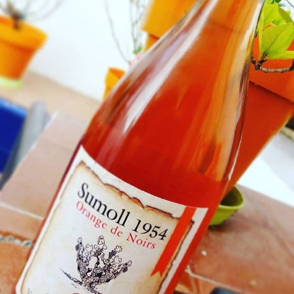 コスタドール・テロワールズ・メディテラニス オレンジ・ド・ノワール 2019 COSTADOR TERROIRS MEDITERRANIS ORANGE DE NOIRS