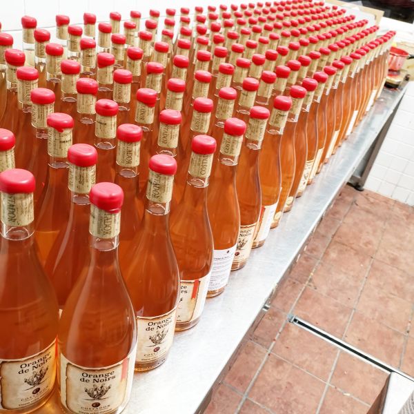 コスタドール・テロワールズ・メディテラニス オレンジ・ド・ノワール 2019 COSTADOR TERROIRS MEDITERRANIS ORANGE DE NOIRS