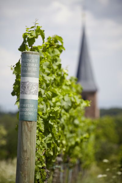 ワイングート・ライヒスラート・フォン・ブール  ダイデスハイマー・ヘルゴッツアッカー・トロッケン 2016 WEINGUT REICHSRAT VON BUHL  DEIDESHEIMER HERRGOTTSACKER TROCKEN