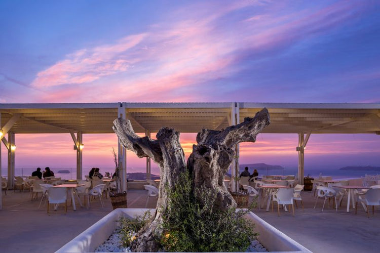 サント・ワインズ イリニ 2017 SANTO WINES IRINI