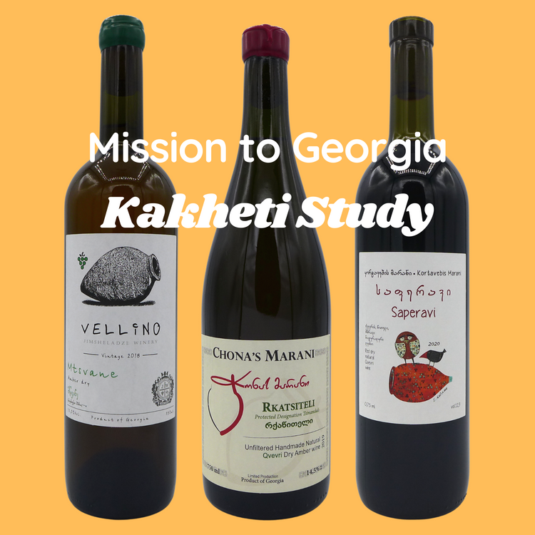 ジョージア・カヘティを知る　セット MISSION TO GEORGIA: KAKHETI STUDY